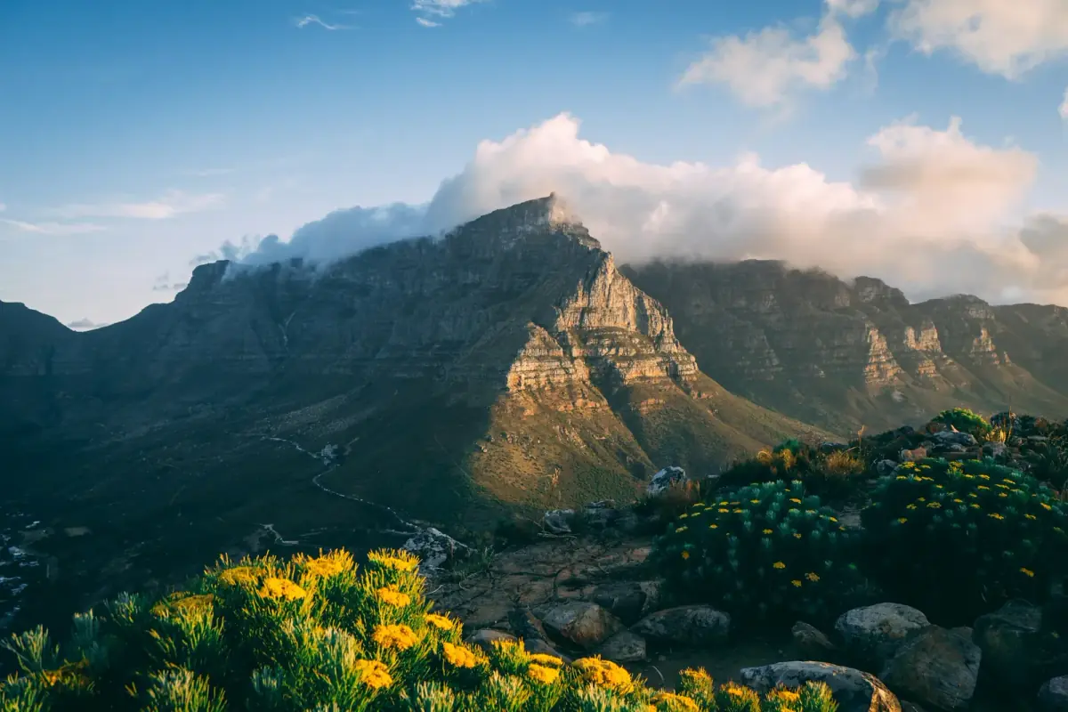 South Africa Sticker Visa
